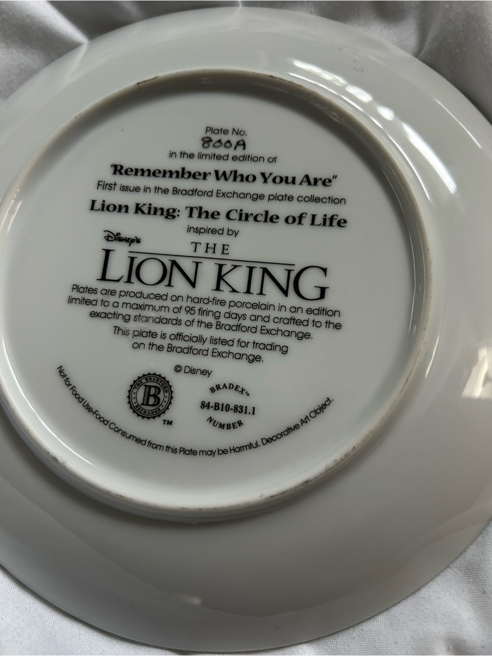 Disney Florida Map Decorative Plate - Orange Bird and Lion King Collective Plate - Picture 3 of 7